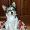 teclaferraglio
