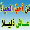 user8633812676176