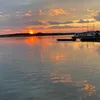 vince_ja7