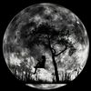 🌑