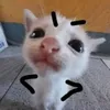 almirareategui18