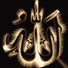 user4616668220661