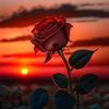 so_so_640