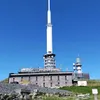 marco66445