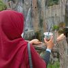 naii_sukayapping