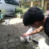 rendnd_