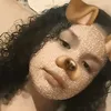 anac_xzz1511
