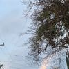 santin_0000