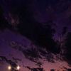 sunnysidedown.1