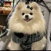 cachorrinho437fofo