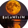 salamisim2024