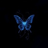 butterfly_yami1