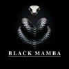 black_mamba_officialpage