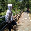 yonbaik2saja