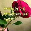 user225684063