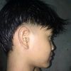 pett08_