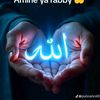 yaseckdiom