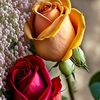 من جهات اتصالي