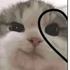 arifafarzana0