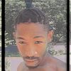 piep_piper