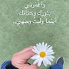 bina.bina794
