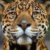 merlina.addams44