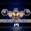pocho_gamingwz420