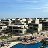 yngcryptoceoo