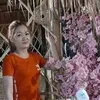hnglam718