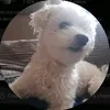 itzjustoofy1