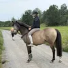 tantenta00