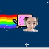 .nyancams