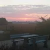 partizani.partiza