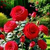 somaiya2427867196831