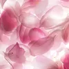 abirchouaf985