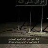 tomeomar6