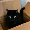 lili_dark20