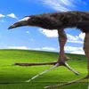 theeaterofcheese
