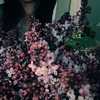 lana_aa444