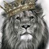 khadhraoui.aymen