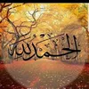 user1426121732238