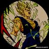 _vegitto_edits