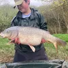 fishwithdan2