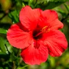 eduarda.silvia007