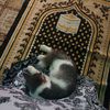 rihana.abdullah6