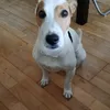chulo5955