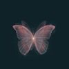 butterfly..7