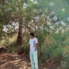 yossef.saber75