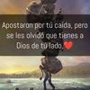 el.dragn.rojo77