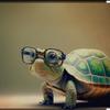 i_luv_turtles24